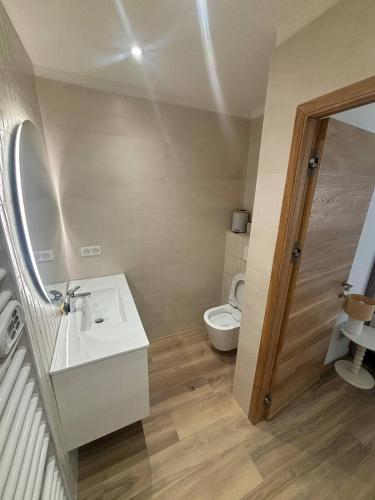 une salle de bain avec un lavabo et des toilettes dans l'établissement Les chambres du Cap Corse, à Barrettali
