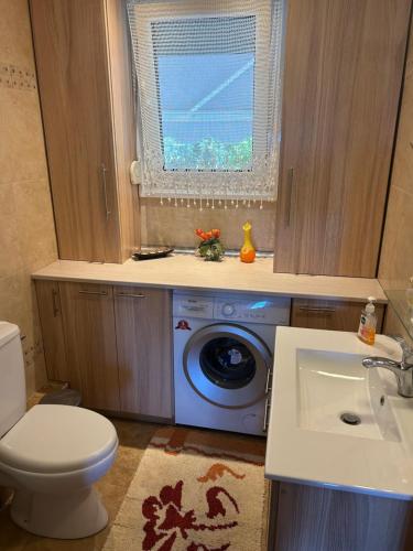 a bathroom with a washing machine and a sink at Villa Anastasia in Leptokaria