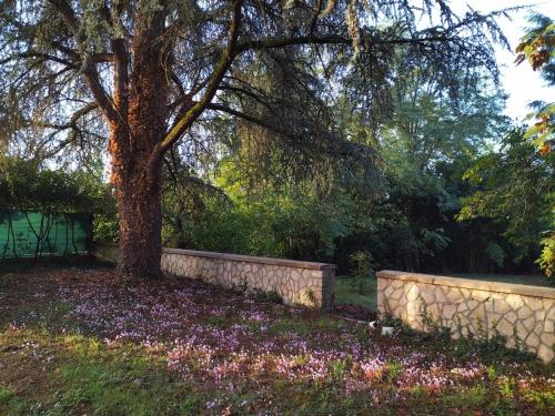 Ein Garten an der Unterkunft Manoir, vaste parc arboré