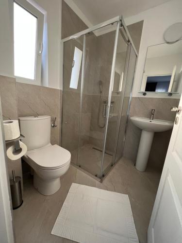 a bathroom with a toilet and a shower and a sink at Vila Marbo in Baile Felix