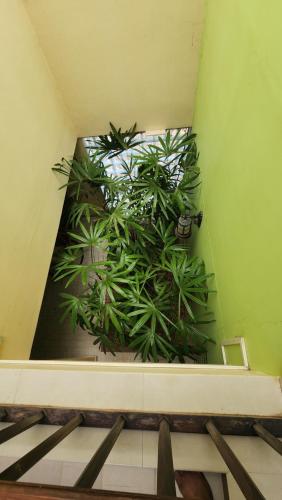 a room with green plants in the corner of a room at The Palmyra Estate - by Cocoon, A Luxury Party Villa near Varkala in Paravūr