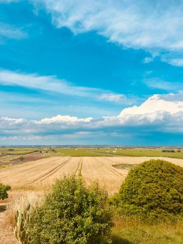 a field with trees and a blue sky and clouds at Dream Holiday in Marina di Lizzano