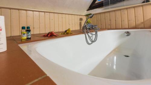 a bath tub with a faucet and two birds on a counter at Reetdachhaus mit Elbblick in Lenzerwische