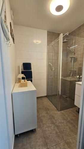 a bathroom with a shower and a sink at Appartement Capsea 4 étoiles, St Valery-sur-S, avec 2 parkings gratuits in Saint-Valery-sur-Somme
