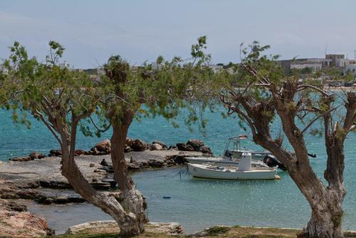 a boat in the water next to some trees at Salt Suites Paros in Naousa