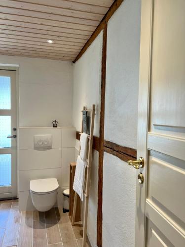 a bathroom with a toilet and a door at Noorbohandelens Bed & Breakfast in Stege