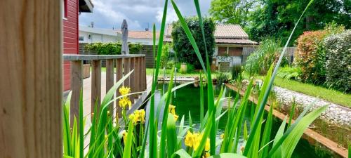 un giardino con laghetto di fronte a una casa di Maison du sentier du littoral a Gujan-Mestras