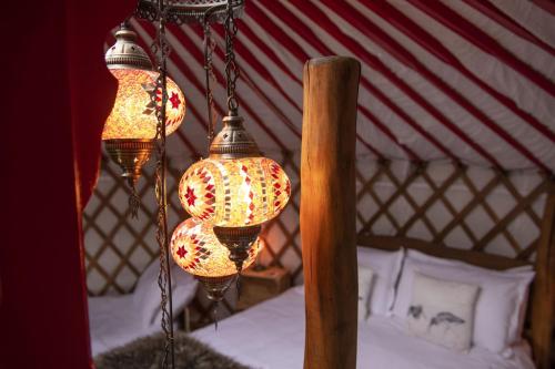 阿斯克里格Oystercatcher的帐篷上挂着几盏灯