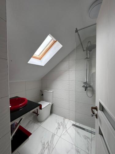 a bathroom with a shower and a toilet and a sink at Casa Luminița in Vama Buzăului