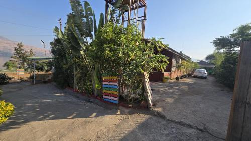 Zahrada ubytování Kabir Farms