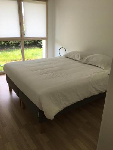 Cette chambre comprend un grand lit et 2 fenêtres. dans l'établissement appartement proche de la plage , wimereux , 2 chambres , box stationnement , wifi, à Wimereux