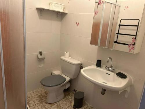 Koupelna v ubytování Appartement avec balcon à Marignana, 30 m², 4 pers.