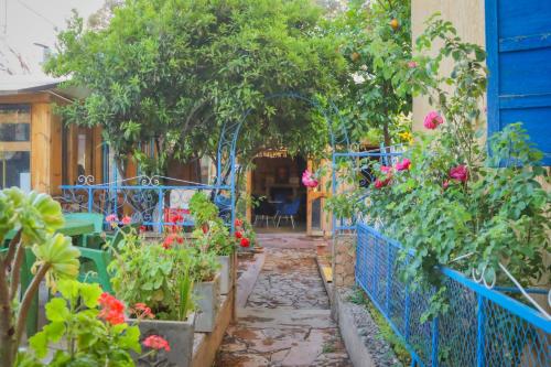 a garden with flowers and a blue fence at Auberge Souktana in Taliouine