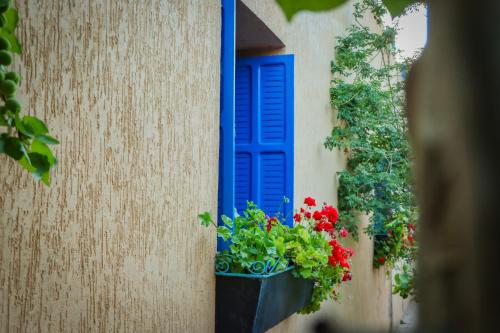a blue window with flowers in a pot on a wall at Auberge Souktana in Taliouine