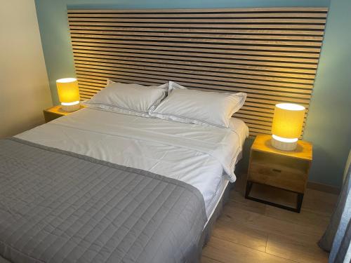 a bedroom with a bed with two lamps on tables at Les Colonnes d'Andrea in Nevers