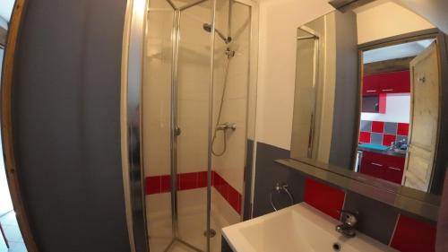 une salle de bain avec une douche, un lavabo et un miroir dans l'établissement Studio tranquille à Wavrechain, à Wavrechain-sous-Faulx