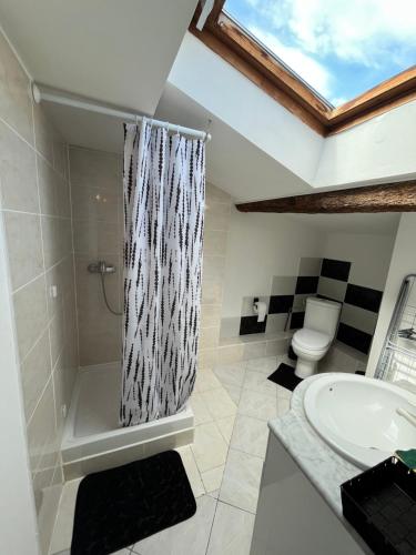 une salle de bain avec une douche, des toilettes et un lavabo dans l'établissement Épices 1 au cœur du centre ville historique de Serignan, à Sérignan