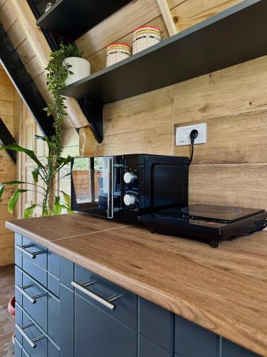 a kitchen with a microwave on a counter at Planinska Brvnara Zlatni Bor in Nedići