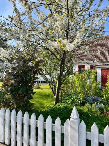 a white fence in front of a tree with flowers at Noorbohandelens Bed & Breakfast in Stege