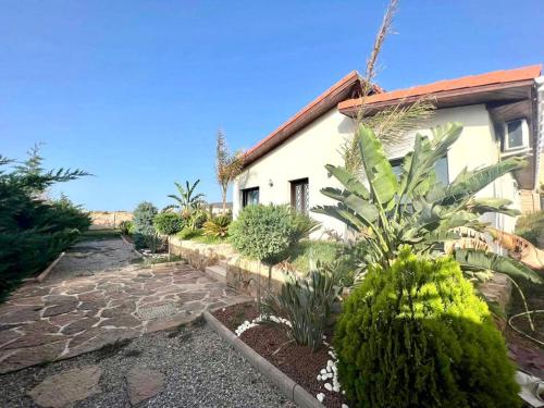 a house with some plants in front of it at WonderFarm2point0 Oran villa 10 people in Oran