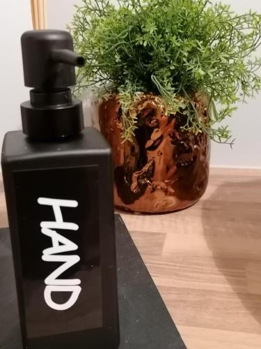 a black spray bottle next to a potted plant at Haus Bergliebe in Filzmoos