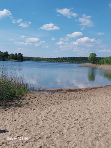 a view of a lake with a sandy beach at Ferienhaus Seeliebe in Krugsdorf