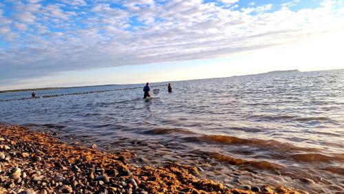 a man standing in the water at the beach at App 7u Erholsamen Sundowner in Dranske