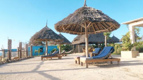 un gruppo di sedie e ombrelloni su una spiaggia di Coral Cliff Villas Zanzibar a Makunduchi