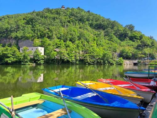 a group of boats sitting in the water with a hill at Hámori Álom in Miskolc