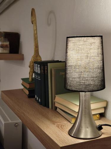 a lamp sitting on a shelf with books at Kant 99 XL in Berlin
