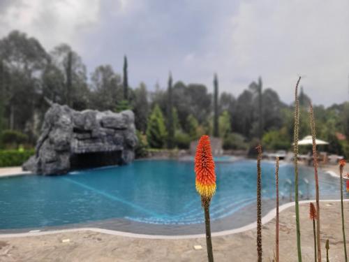 Bazén v ubytování Grotta Resort nebo v jeho okolí