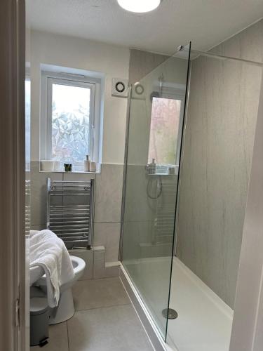 a bathroom with a shower and a toilet and a window at Central Chester Apartment, 2 beds, 3 guests in Chester