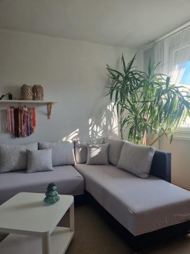 Posezení v ubytování Boborján Apartman