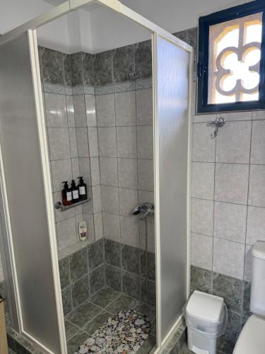 a bathroom with a shower with a toilet at Country House Nannos in Néa Thésis