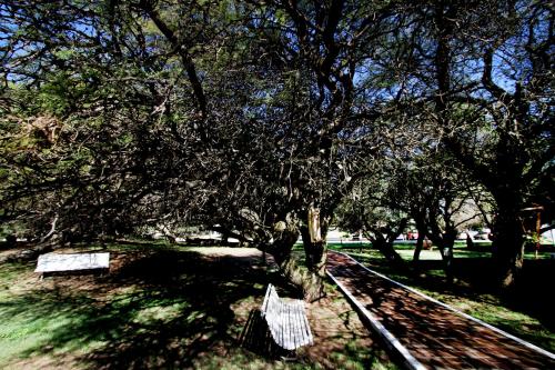 a park with two benches under a tree at La Campiña Club Hotel & Spa in Santa Rosa