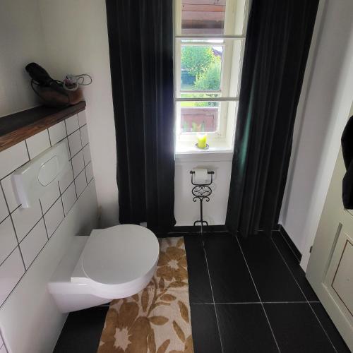 a bathroom with a toilet and a window at Sachserhof Ferienwohnungen in Sachsenburg in Sachsenburg