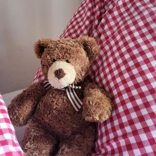 a brown teddy bear sitting on a red and white checkered pillow at Sachserhof Ferienwohnungen in Sachsenburg in Sachsenburg