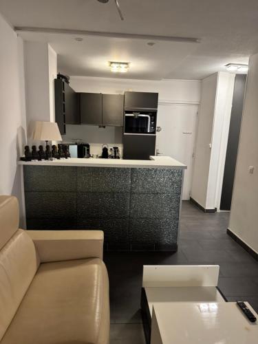 grand appartement Port Nature 7 photo 8
