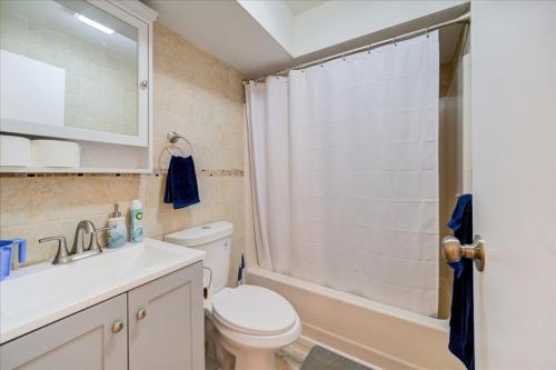 a bathroom with a toilet and a sink and a shower at Catskills Lakefront with Hot Tub, Sauna and Theater in Monticello