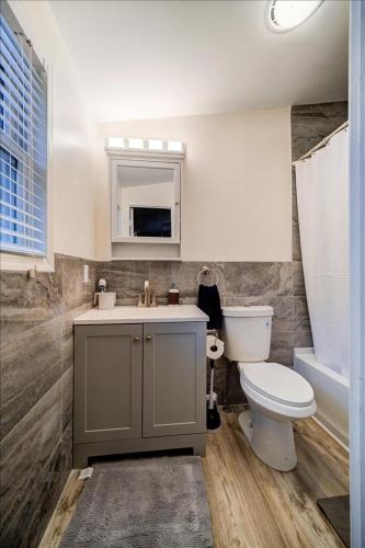a bathroom with a toilet and a sink and a mirror at Catskills Lakefront with Hot Tub, Sauna and Theater in Monticello