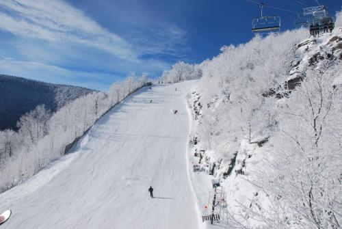 a person skiing down a snow covered ski slope at Catskills Lakefront with Hot Tub, Sauna and Theater in Monticello