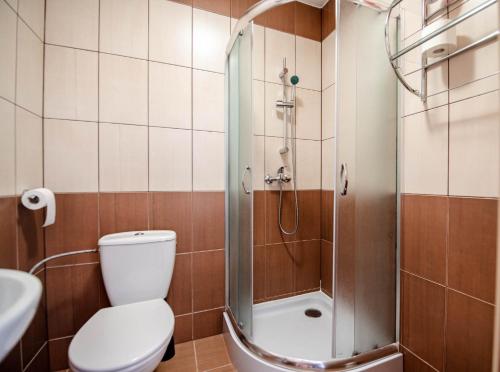 a bathroom with a shower and a toilet and a sink at Willa Karolina in Czorsztyn