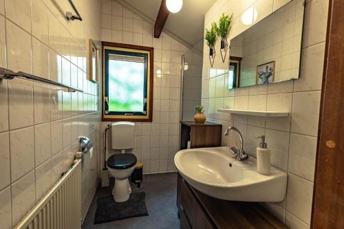 Un baño con lavabo e inodoro en Vacation Home North Limburg, en Blitterswijck