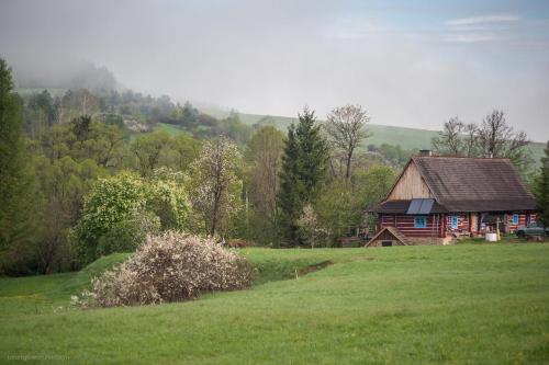 a house in the middle of a green field at Chata Nad Wisłokiem in Wisłok Wielki
