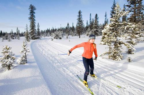 a woman is cross country skiing in the snow at SKOG - Aurora Igloos Resort in Kalix