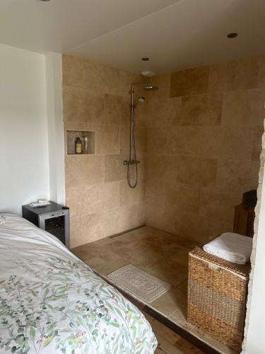 Cette chambre comprend un lit et une salle de bains pourvue d'une douche. dans l'établissement Séjour au bord de l'eau, à La Ferté-Alais