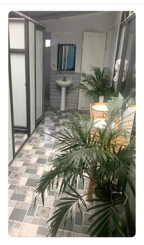 a bathroom with two potted plants and a sink at Nobita Homestay bắc hà in Bắc Hà