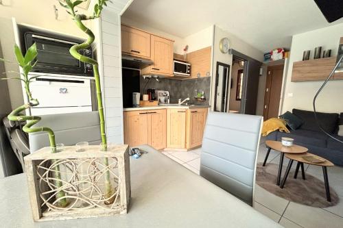 une cuisine et un salon avec une plante dans un vase dans l'établissement EUREKA 109 - 6 People - Pool and Garden - Near Naturist Village and Beaches, au Cap d'Agde