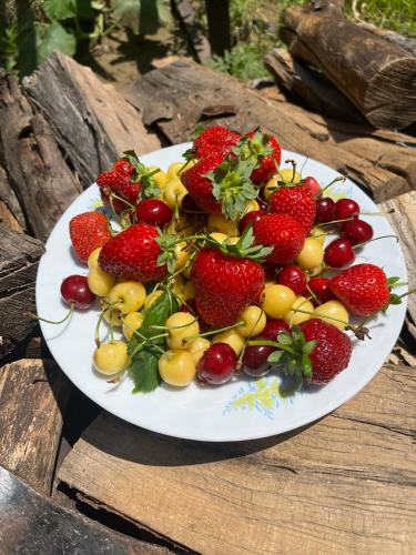 Jídlo v farmy nebo okolí