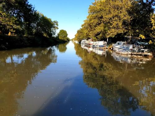 une rivière avec des bateaux amarrés sur son côté dans l'établissement Studio bateau au Somail, à Saint-Nazaire-dʼAude